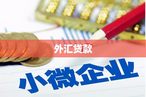 渭城外汇贷款
