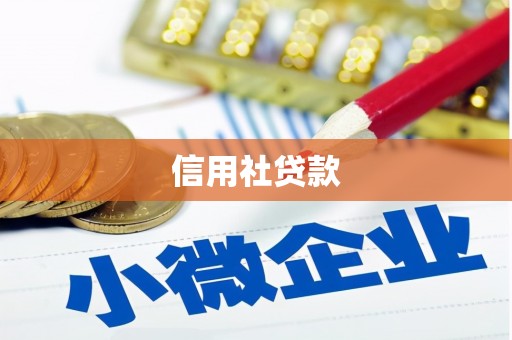 渭城信用社贷款