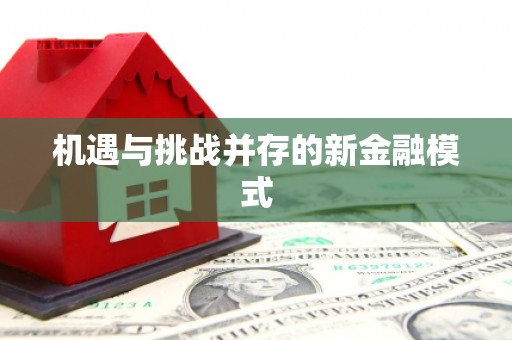 渭城机遇与挑战并存的新金融模式