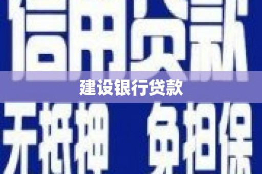 渭城建设银行贷款