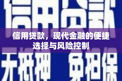 渭城信用贷款，现代金融的便捷选择与风险控制