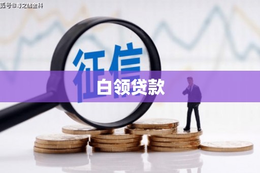 渭城白领贷款