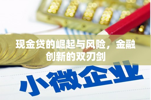 渭城现金贷的崛起与风险，金融创新的双刃剑