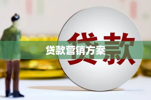 渭城贷款营销方案