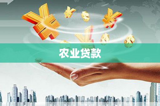 渭城农业贷款