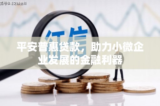渭城平安普惠贷款，助力小微企业发展的金融利器