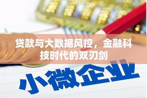 渭城贷款与大数据风控，金融科技时代的双刃剑