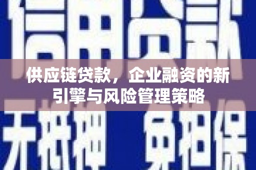渭城供应链贷款，企业融资的新引擎与风险管理策略