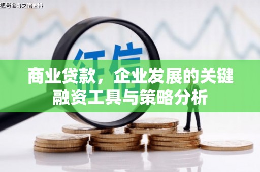 渭城商业贷款，企业发展的关键融资工具与策略分析