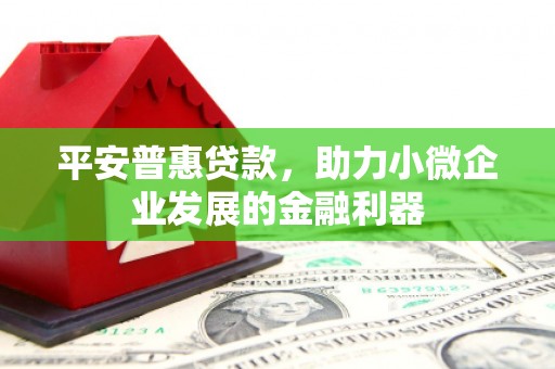渭城平安普惠贷款，助力小微企业发展的金融利器