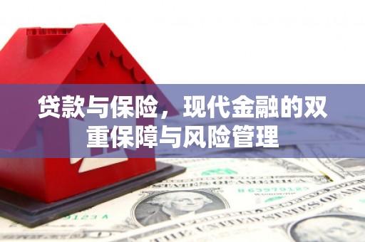 渭城贷款与保险，现代金融的双重保障与风险管理