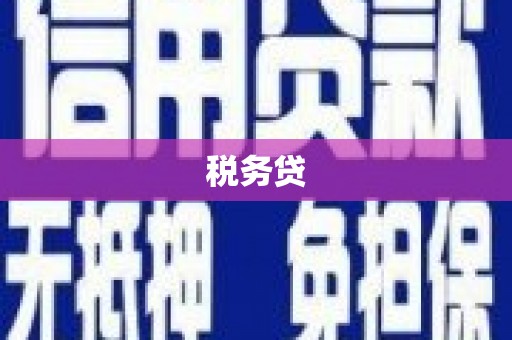 渭城税务贷