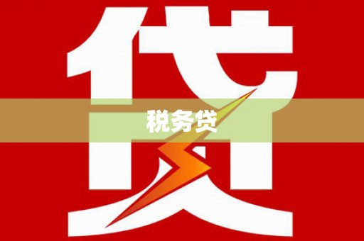 渭城税务贷
