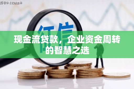 渭城现金流贷款，企业资金周转的智慧之选