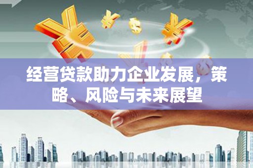 渭城经营贷款助力企业发展，策略、风险与未来展望