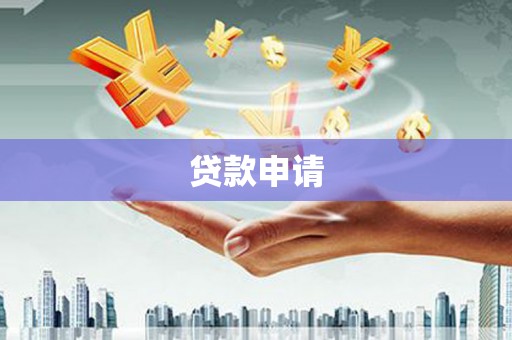 渭城贷款申请