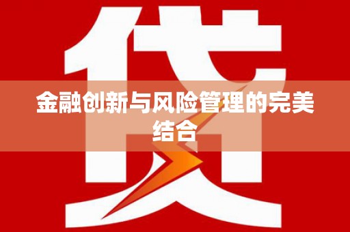 渭城金融创新与风险管理的完美结合