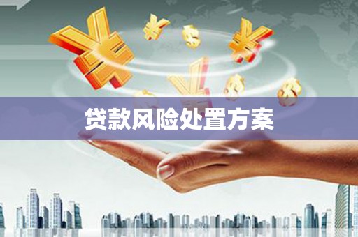 渭城贷款风险处置方案