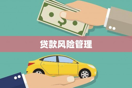 渭城贷款风险管理