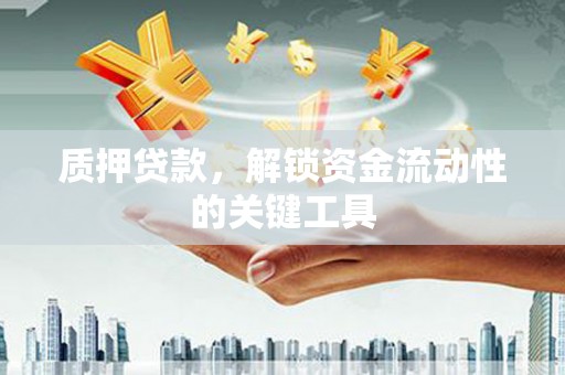 渭城质押贷款，解锁资金流动性的关键工具
