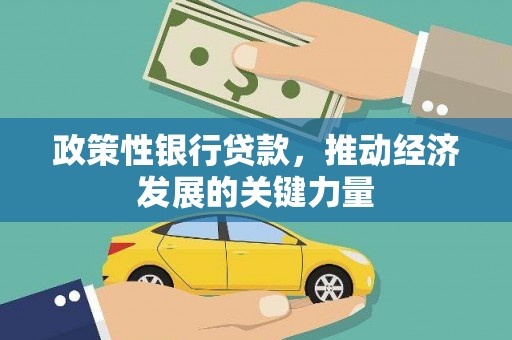 渭城政策性银行贷款，推动经济发展的关键力量