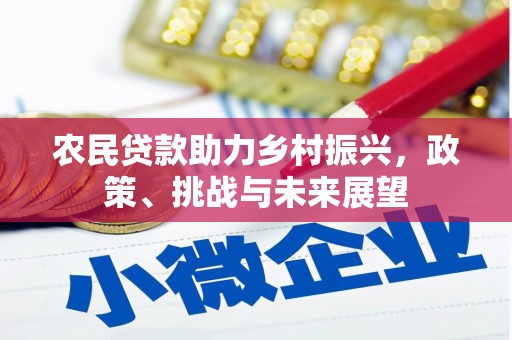 渭城农民贷款助力乡村振兴，政策、挑战与未来展望