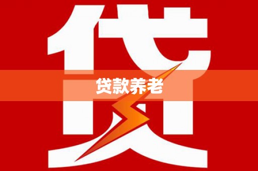 渭城贷款养老