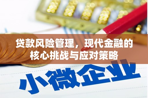 渭城贷款风险管理，现代金融的核心挑战与应对策略