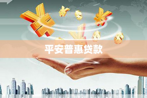 渭城平安普惠贷款