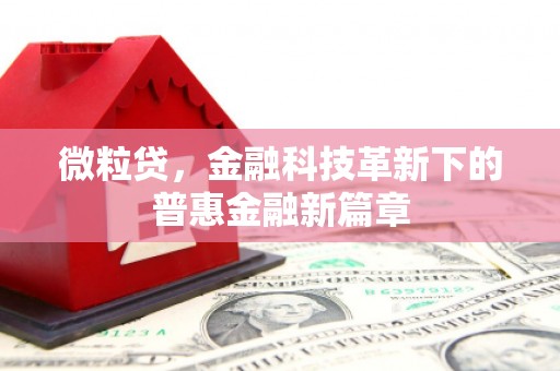 渭城微粒贷，金融科技革新下的普惠金融新篇章