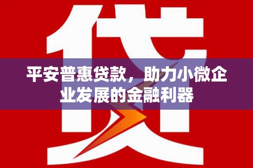 渭城平安普惠贷款，助力小微企业发展的金融利器