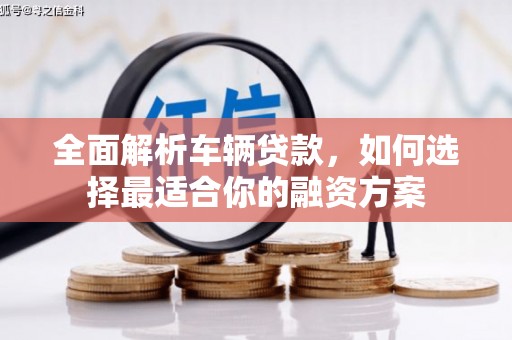 渭城全面解析车辆贷款，如何选择最适合你的融资方案