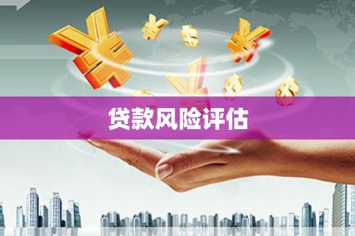 渭城贷款风险评估