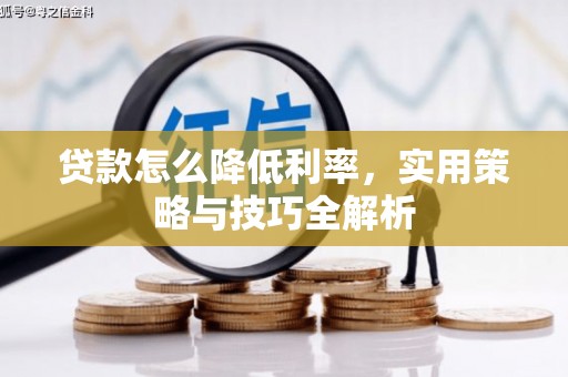 渭城贷款怎么降低利率，实用策略与技巧全解析