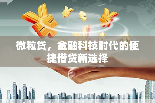 渭城微粒贷，金融科技时代的便捷借贷新选择