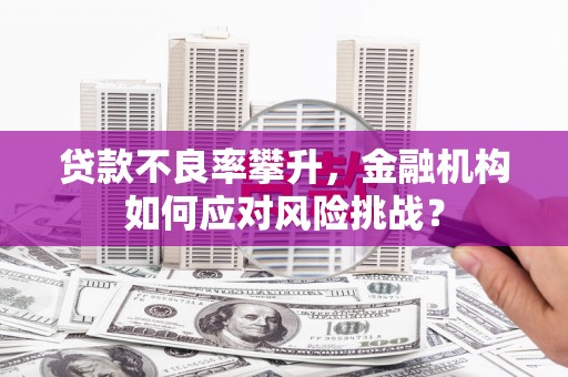 渭城贷款不良率攀升，金融机构如何应对风险挑战？