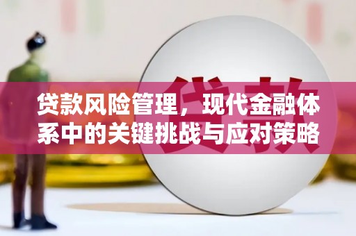 渭城贷款风险管理，现代金融体系中的关键挑战与应对策略
