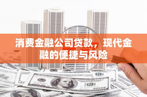渭城消费金融公司贷款，现代金融的便捷与风险