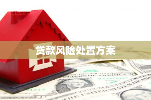 渭城贷款风险处置方案