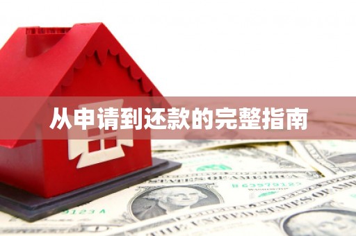 渭城从申请到还款的完整指南