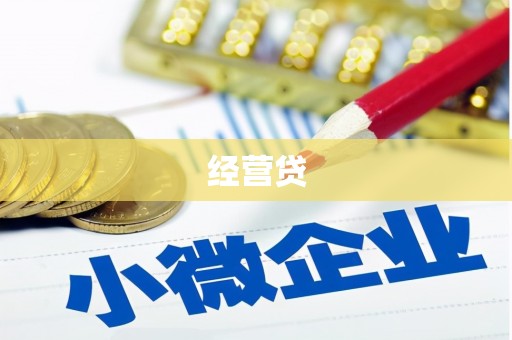 渭城经营贷