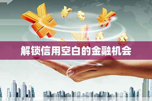 渭城解锁信用空白的金融机会