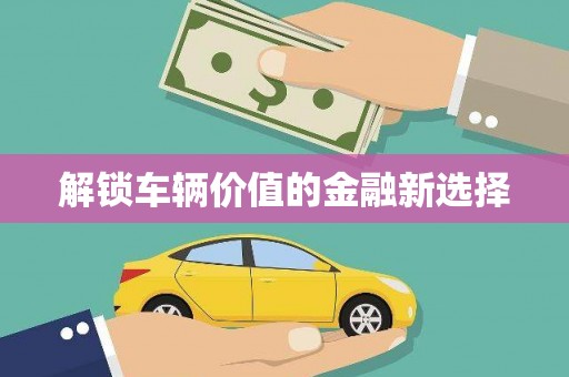 渭城解锁车辆价值的金融新选择