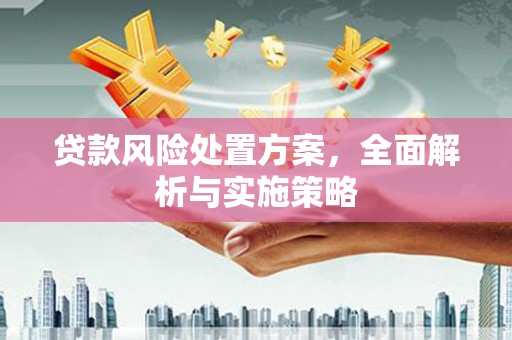 渭城贷款风险处置方案，全面解析与实施策略