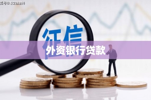 渭城外资银行贷款