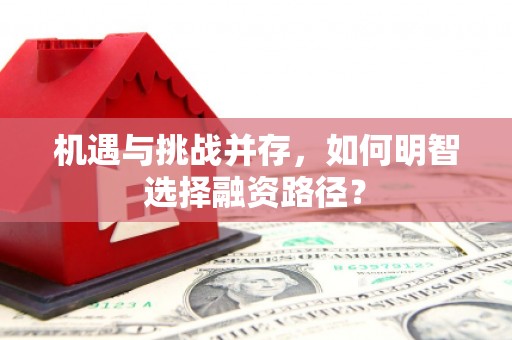 渭城机遇与挑战并存，如何明智选择融资路径？