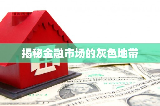 渭城揭秘金融市场的灰色地带