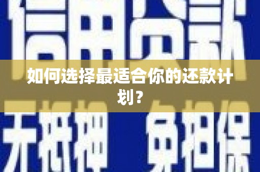 渭城如何选择最适合你的还款计划？