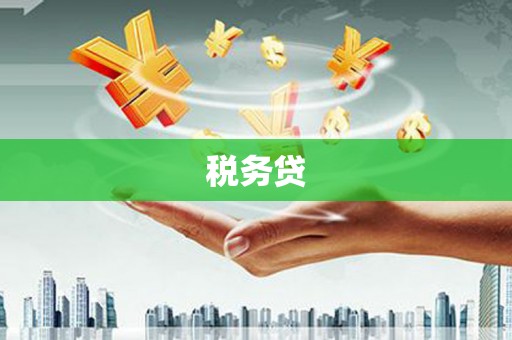 渭城税务贷